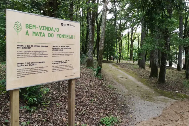 Placa identificativa na Mata do Fontelo em Viseu